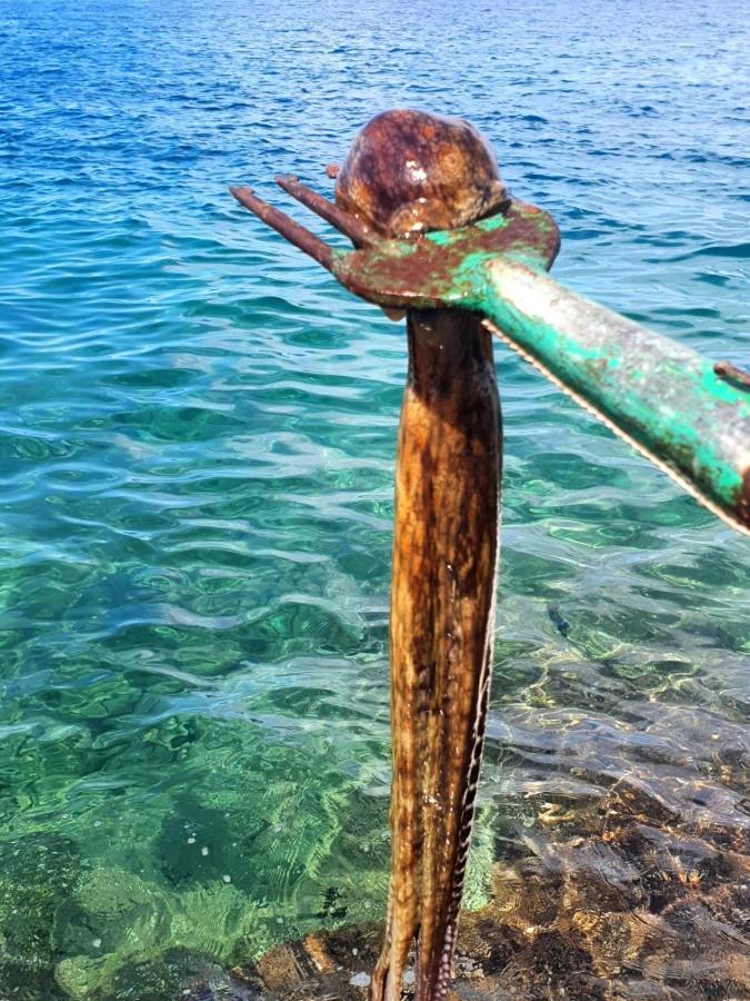 Sea Of Eden Leilighet Dubrovnik Eksteriør bilde
